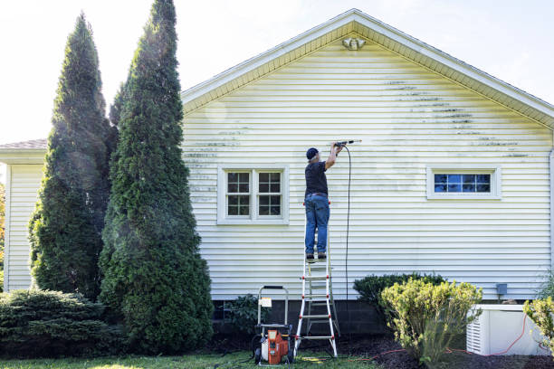 Professional Pressure Washing Services in Dalton, GA